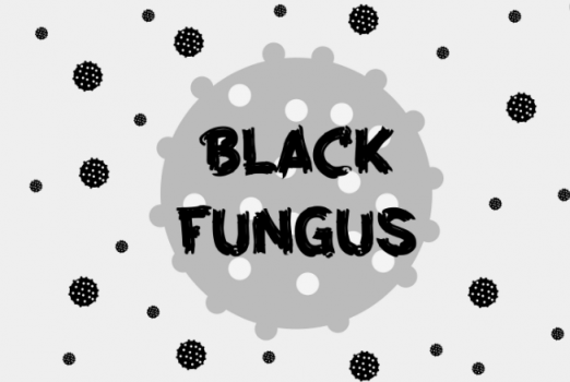 Black fungus